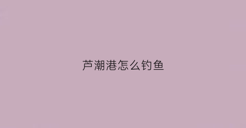 芦潮港怎么钓鱼(芦潮港哪里好玩)