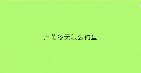 芦苇冬天怎么钓鱼(冬钓芦苇荡)