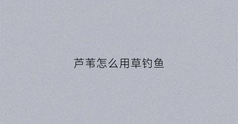 芦苇怎么用草钓鱼
