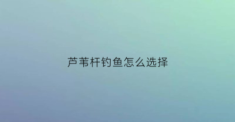 芦苇杆钓鱼怎么选择(芦苇杆很锋利吗)