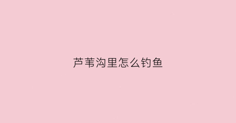 芦苇沟里怎么钓鱼(如何在钓芦苇丛钓鱼)