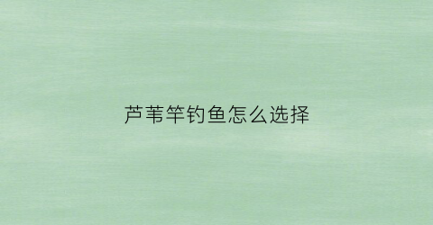 芦苇竿钓鱼怎么选择(芦苇杆结实吗)