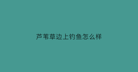 芦苇草边上钓鱼怎么样(芦苇叶能钓到草鱼吗)