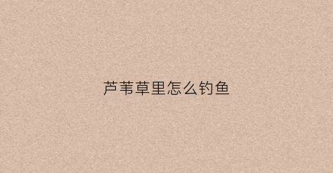 芦苇草里怎么钓鱼(芦苇钓草鱼挂法图片)