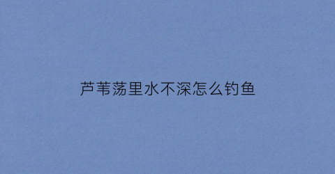 芦苇荡里水不深怎么钓鱼(芦苇荡里水不深怎么钓鱼呢)
