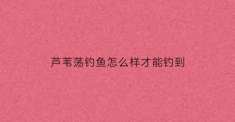 “芦苇荡钓鱼怎么样才能钓到(芦苇荡里怎么钓鲫鱼)