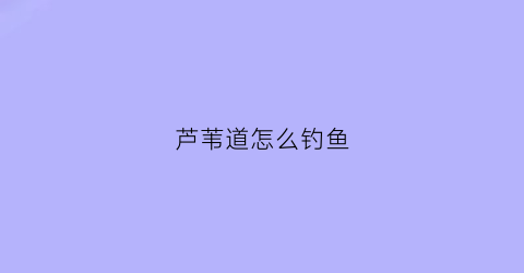 “芦苇道怎么钓鱼(芦苇道怎么钓鱼最好)