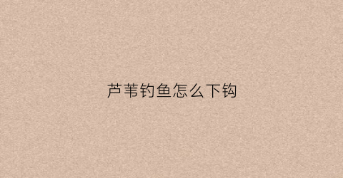 芦苇钓鱼怎么下钩(芦苇钓鱼怎么挂钩)