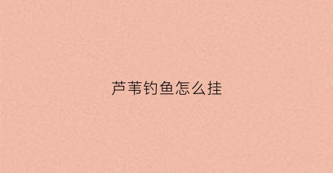芦苇钓鱼怎么挂(芦苇钓鱼怎么挂钩)