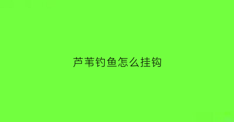 芦苇钓鱼怎么挂钩(钓鱼芦苇挂法)