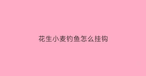 花生小麦钓鱼怎么挂钩(花生和小麦哪个要浅播)