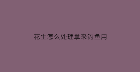 花生怎么处理拿来钓鱼用(鲜花生钓鱼)