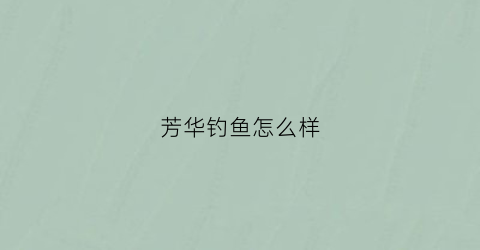 芳华钓鱼怎么样(芳华这个产品怎么样)