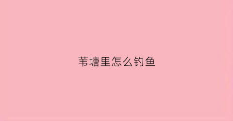 苇塘里怎么钓鱼(芦苇塘钓鱼)