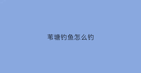 苇塘钓鱼怎么钓(苇塘照片)