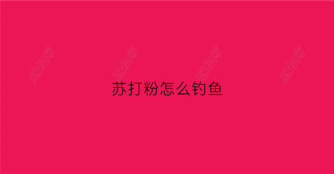 苏打粉怎么钓鱼(小苏打钓鱼)