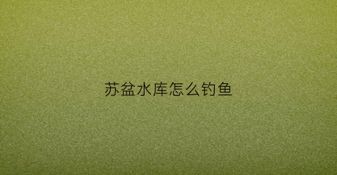 苏盆水库怎么钓鱼(南宁市苏盆水库)