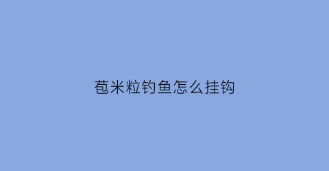 “苞米粒钓鱼怎么挂钩(苞米粒钓鱼怎么挂钩视频)