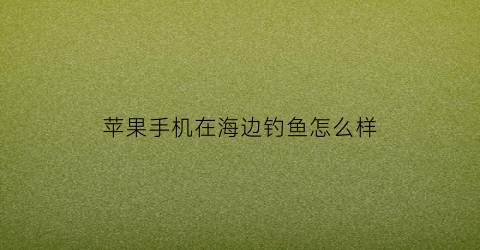 苹果手机在海边钓鱼怎么样(海上钓鱼手机有信号吗)