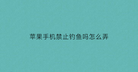 苹果手机禁止钓鱼吗怎么弄(苹果手机会被钓鱼网站钓鱼吗)