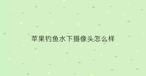 苹果钓鱼水下摄像头怎么样(iphone钓鱼游戏叫什么)