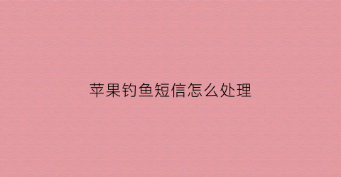 苹果钓鱼短信怎么处理(苹果收到钓鱼短信可以定位吗)