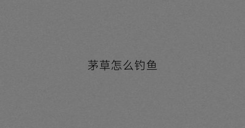 茅草怎么钓鱼(茅草鱼漂怎么样)