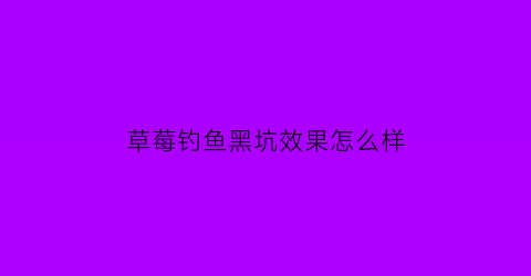 草莓钓鱼黑坑效果怎么样(草莓钓鱼黑坑效果怎么样啊)