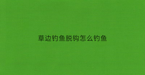 草边钓鱼脱钩怎么钓鱼(草边钓草鱼)