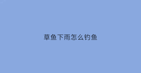 草鱼下雨怎么钓鱼(草鱼下雨天怎么钓)