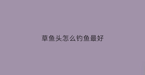 草鱼头怎么钓鱼最好(草鱼鱼头怎么做好吃又简单)