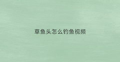 草鱼头怎么钓鱼视频(草鱼头子怎么做好吃)