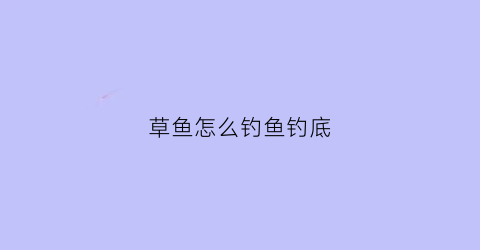 草鱼怎么钓鱼钓底(草鱼怎么钓鱼钓底视频)
