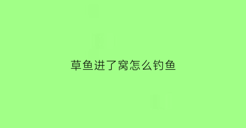 草鱼进了窝怎么钓鱼(草鱼在窝子里不开口怎么办)