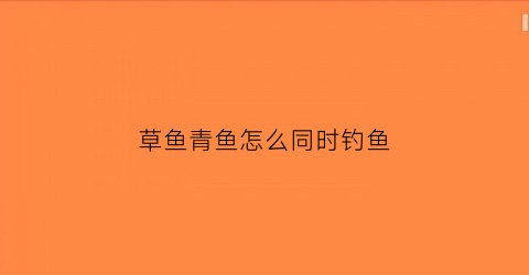 草鱼青鱼怎么同时钓鱼