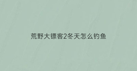 荒野大镖客2冬天怎么钓鱼(荒野大镖客2怎么钓大型鱼)