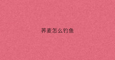 荞麦怎么钓鱼(荞麦喂鱼)