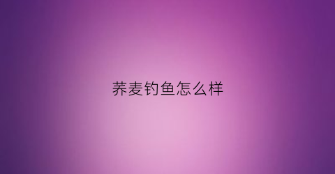 荞麦钓鱼怎么样(荞麦钓鱼怎么样才能钓到)