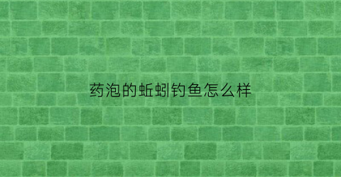 药泡的蚯蚓钓鱼怎么样(药泡的蚯蚓钓鱼怎么样好用吗)