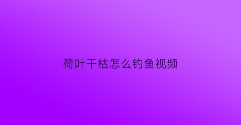 “荷叶干枯怎么钓鱼视频(荷叶什么时候枯萎可以钓鱼)