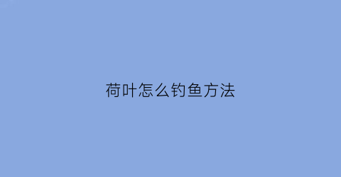 荷叶怎么钓鱼方法(荷叶钓草鱼)