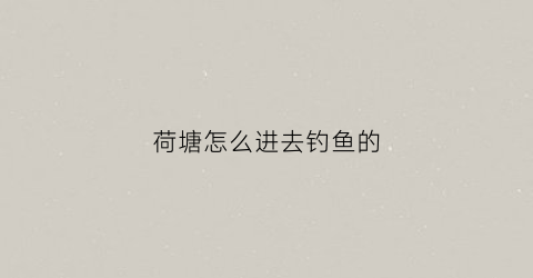 荷塘怎么进去钓鱼的(荷塘钓鱼场怎么收费)