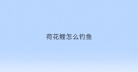 荷花鲤怎么钓鱼(钓荷花鲤怎么调漂)