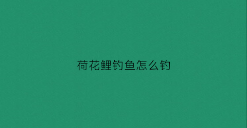 荷花鲤钓鱼怎么钓(荷花鲤钓鱼怎么钓的)