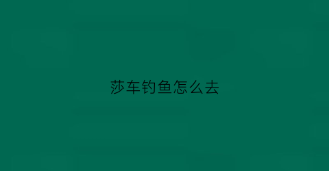 莎车钓鱼怎么去(莎车哪里能钓鱼)