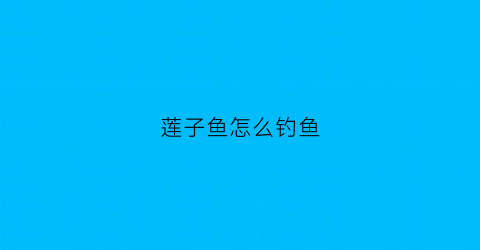 莲子鱼怎么钓鱼(莲子鱼用什么钓)