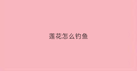 莲花怎么钓鱼(莲花怎么钓鱼效果好)