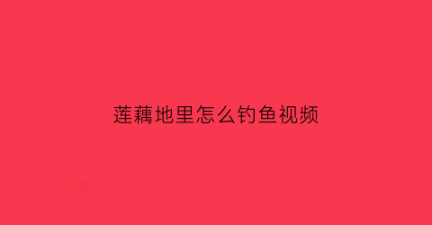 莲藕地里怎么钓鱼视频(莲藕地里怎么钓鱼视频教程)