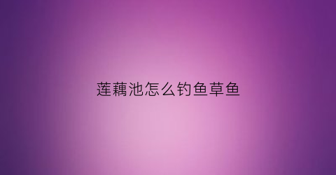 莲藕池怎么钓鱼草鱼(藕池钓鱼技巧)