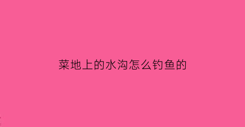 菜地上的水沟怎么钓鱼的(菜地上的水沟怎么钓鱼的呢)